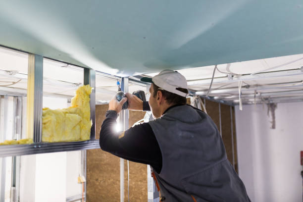 Best DIY Insulation Kits and Guidance in Louisville, MS