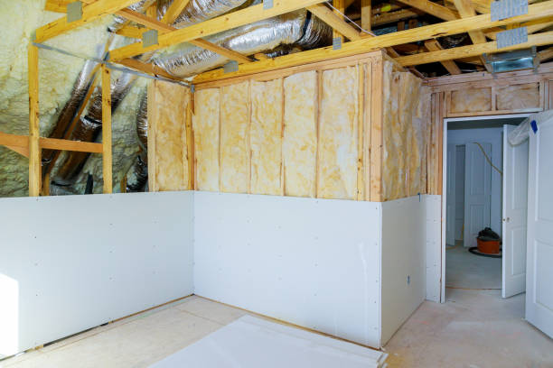 Best Geographic-Specific Insulation Services in Louisville, MS